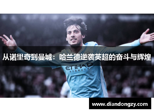 从诺里奇到曼城：哈兰德逆袭英超的奋斗与辉煌