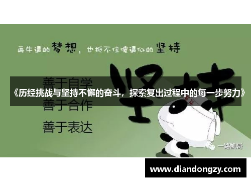 《历经挑战与坚持不懈的奋斗，探索复出过程中的每一步努力》