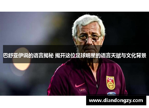 巴舒亚伊说的语言揭秘 揭开这位足球明星的语言天赋与文化背景